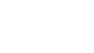 Nitro Snowboards logo